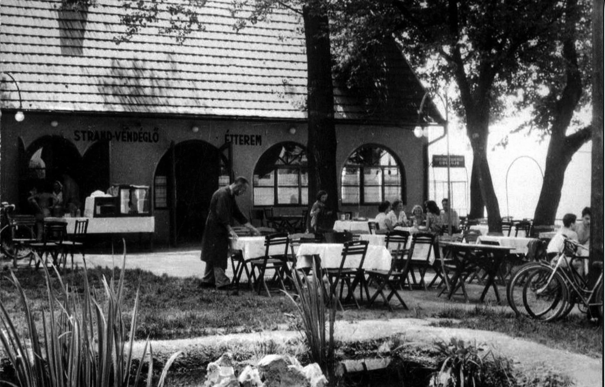 98291315 3040221899371551 1448607699171278848 O